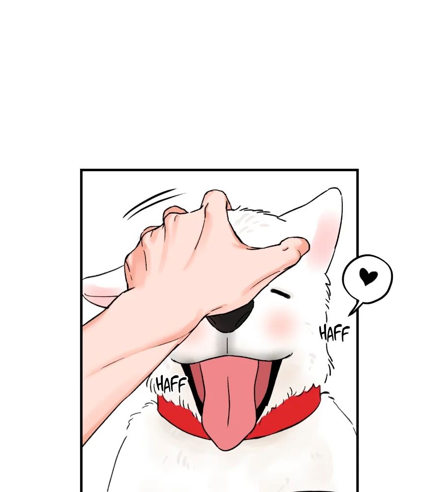 I'll Arrest You! (Te arrestare!)-18