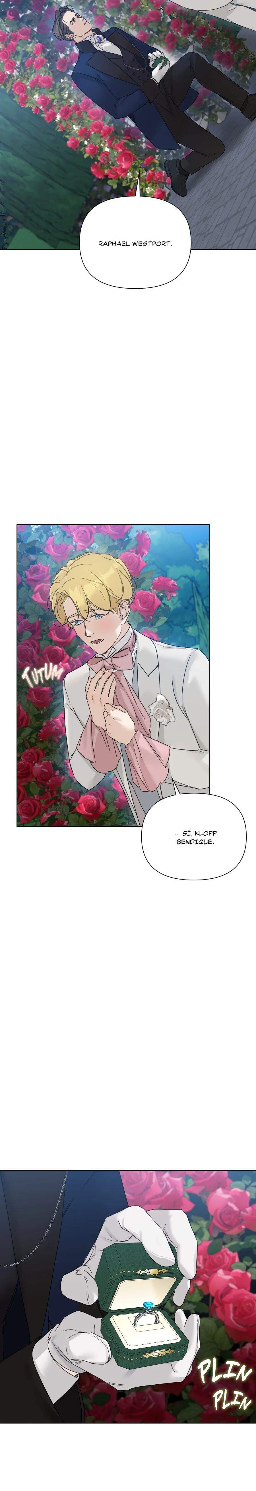 Jardín de Rosas (Into The Rose Garden)-20